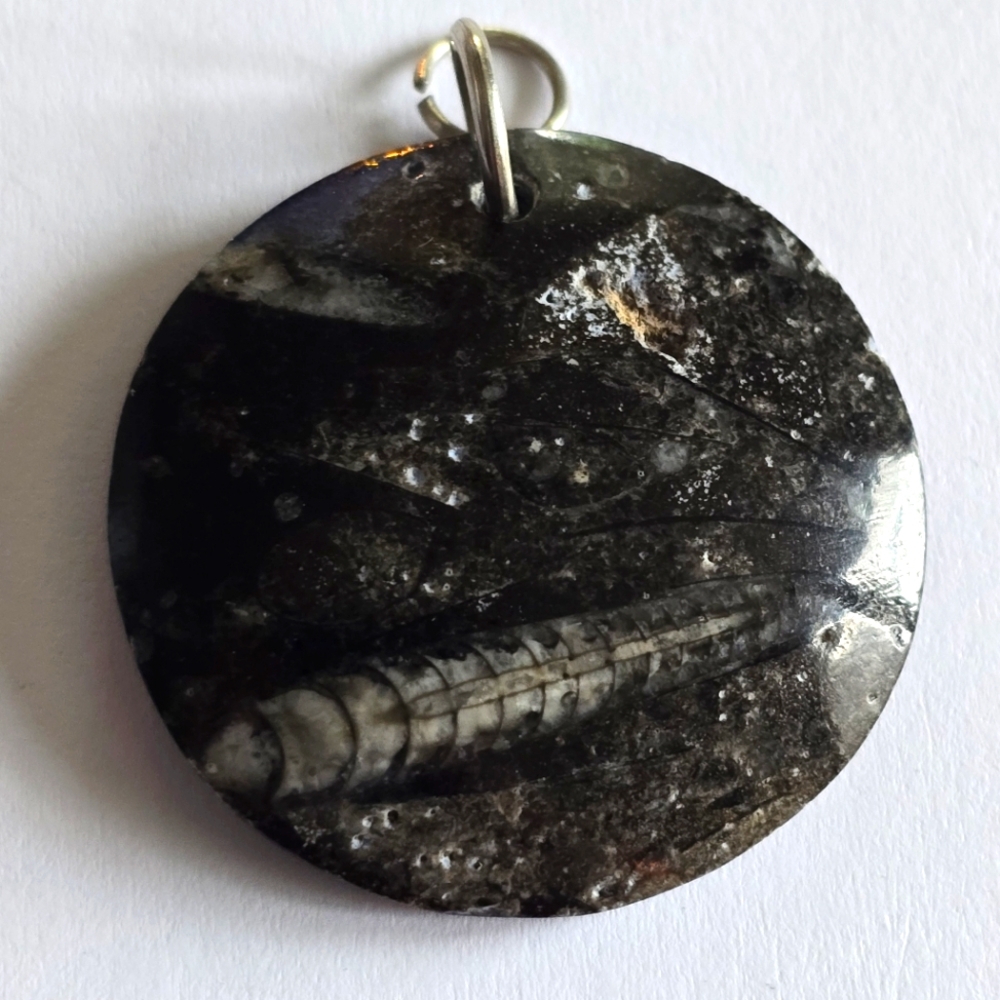 Orthoceras fossil pendant stone black white grey gray silver tone